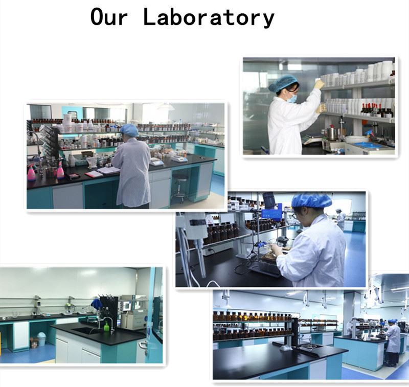 Company Introduction1